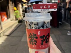 -紫阳古街