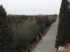 -秦始皇帝陵博物院-丽山园