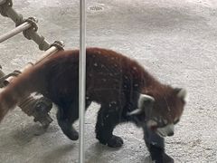 -海合安武汉极地海洋公园