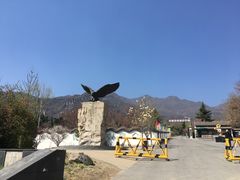 -北京鹫峰国家森林公园