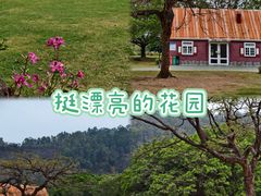 -南沙蒲洲花园