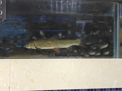 -欧记·龙城港(欣都店)