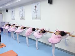 -墨舞舞蹈(顾村公园店)