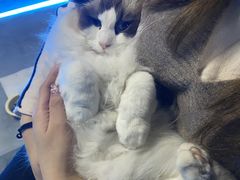 -零纪元VR体验馆·桌游(黄浦店)