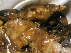 鲶鱼-友利砂锅居(烟台店)