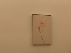 -乐老大耳道·可视采耳·禅洗·推拿(大成直营店)