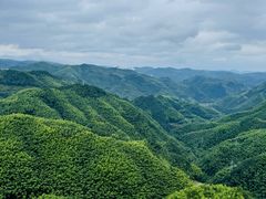 -四明山国家森林公园
