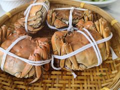 -蟹天蟹地农家菜·阳澄湖大闸蟹(浅水湾店)