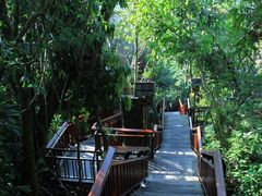 -三亚亚龙湾人间天堂鸟巢度假村