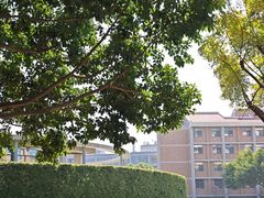 -厦门国家会计学院