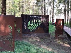 -黄海国家森林公园