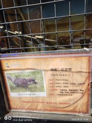 -未来动物城动物主题公园(大悦城店)