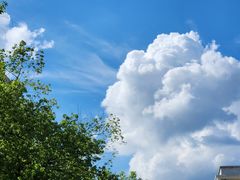 -华中科技大学同济医学院附属同济医院(汉口院区)