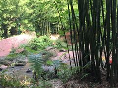 -四洞沟景区