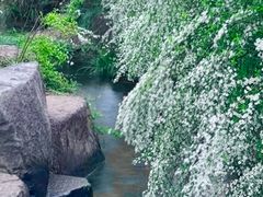 -中国茶叶博物馆(双峰馆区)