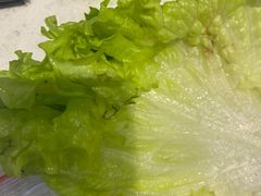 生菜叶-韩时烤肉(丰科万达广场店)