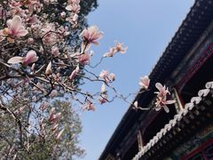 -潭柘寺景区
