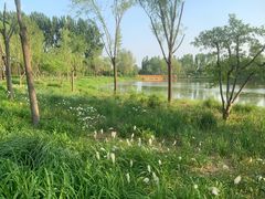 -东郊湿地公园