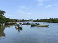 -东寨港红树林旅游区