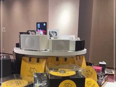 -浣熊唱片店(上海影城店)