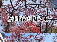 -广州近代史博物馆