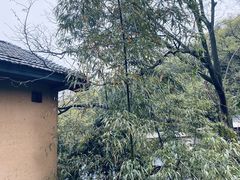 -天怡·鱼工厂(梅溪湖店)