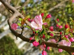 -河畔春天时尚餐厅