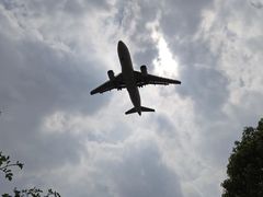 -空港花田景区