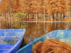 -白鹭湾湿地公园