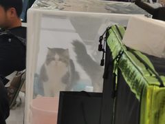 -成都银泰城