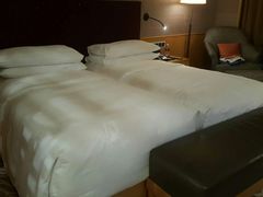 -新加坡文华东方酒店