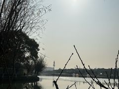 -八大山人梅湖景区