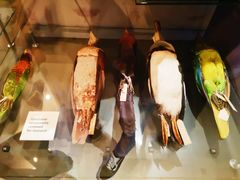 -墨尔本博物馆(Melbourne Museum)