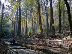 -杭州黄龙洞