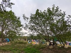 -杭州双溪漂流景区