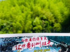 -将军关探险漂流