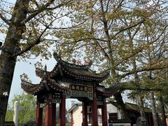 -西湖公园(鼓楼区)