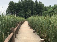 -东湖落雁景区