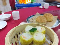 -泉龙渔村·粤式早茶·金牌烧鹅(中山三乡店)