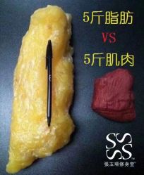 -Fundi张玉珊修身堂·indiba·BTL科技瘦身