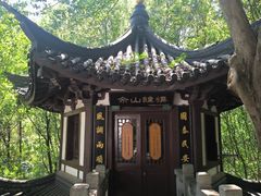 -上海佘山国家森林公园天马山园