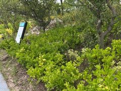 -春花秋色城市公园