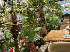 -春润大地海南椰子鸡(沙井京基百纳广场店)