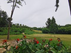 -廊坊市自然公园