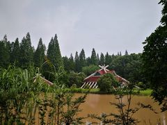 -东平国家森林公园