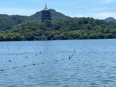 -杭州西湖柳莺里酒店·闻莺厅