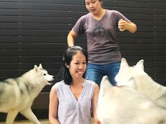 -TrueLove @ Neverland (Husky Cafe)