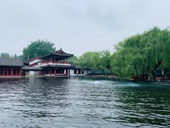 -百脉泉景区