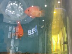 -方津口腔(旺墩路店)