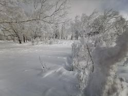 -大秃顶子山